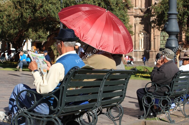 Park Bench Newspaper Read Human Umbrella