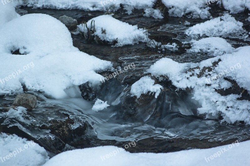 Snow Winter Ice Coldly Frozen