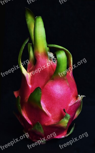 Pitaya Fruit Dragon Fruit Asia Still Life