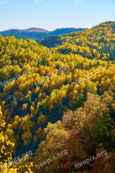 Mountains Trees Autumn Nature Mountain