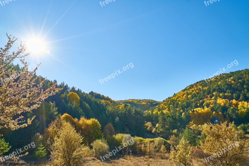 Mountains Trees Autumn Nature Mountain