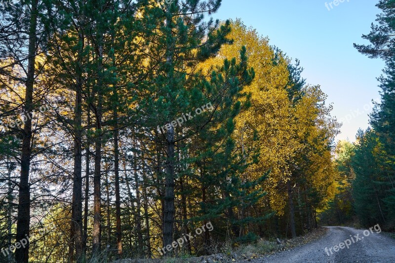 Mountains Trees Autumn Nature Mountain