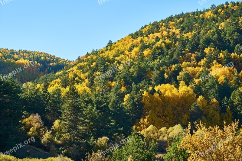 Mountains Trees Autumn Nature Mountain