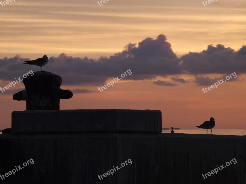 Silhouette Sunset Backlit Dawn Widescreen