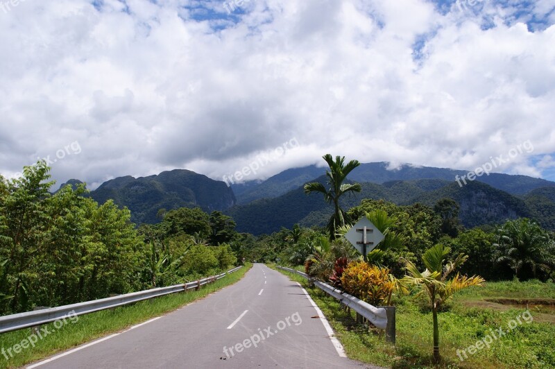 Nature Tree Travel Mountain Landscape