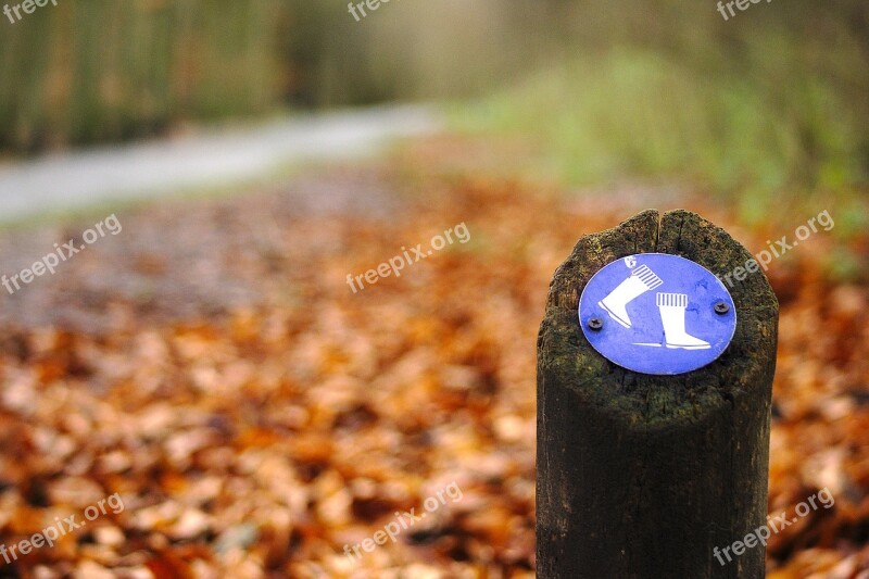 Wood Nature No Person Autumn Boots