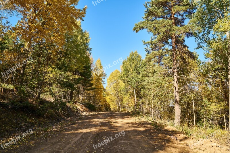 Mountains Trees Autumn Nature Mountain