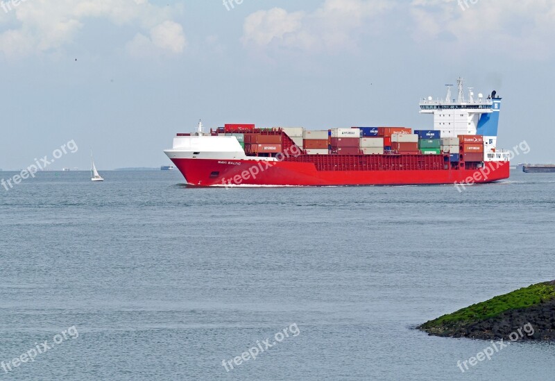 Container Freighter Westerschelde Waters Sea Ship