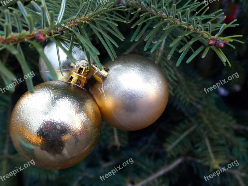 Christmas Balls Fir Tree Tree Decorations Gloss