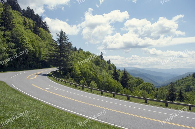 Road Nature Tree Asphalt Travel