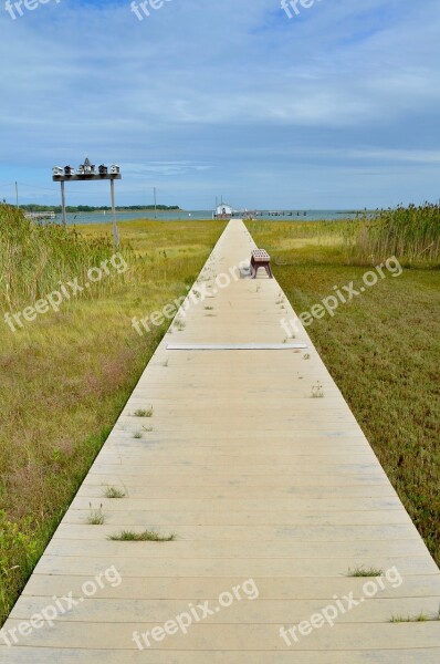 Nature Grass Outdoors Summer Landscape