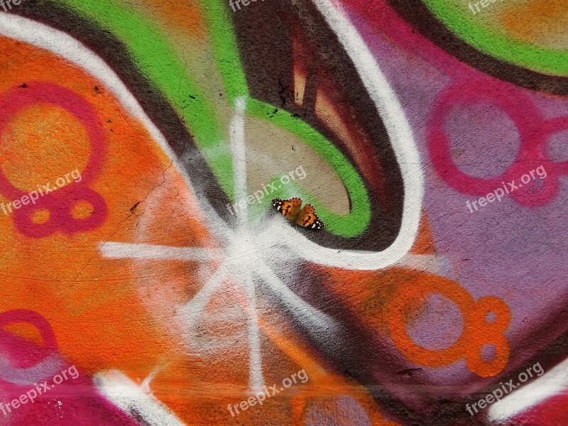 Graffiti Animal Insect Butterfly The Painted Lady