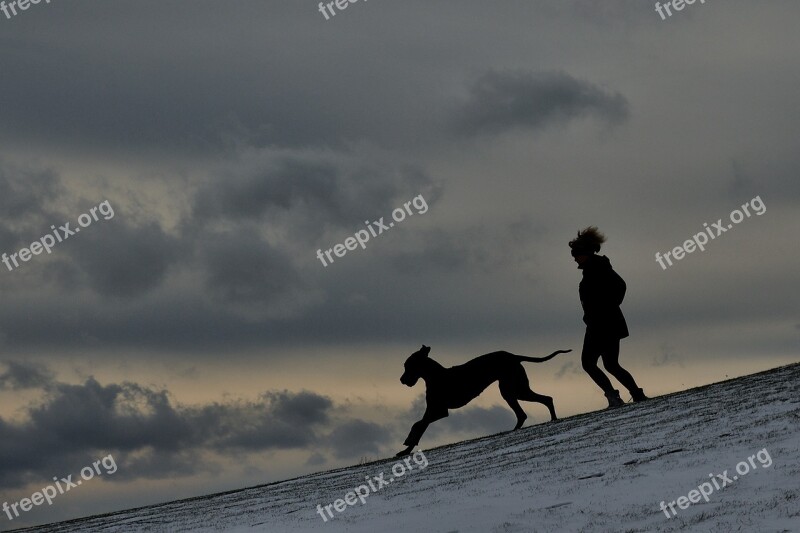 Silhouette Man And Dog Great Dane Free Photos