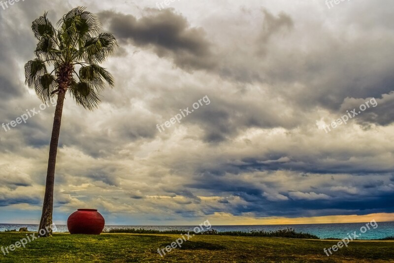 Sky Tree Clouds Cyprus Ayia Napa