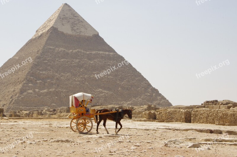 Camel Desert Pyramid Pharaonic Sand