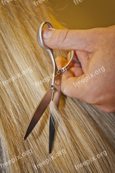 Hair Salon Scissors Style Salon Hairdresser