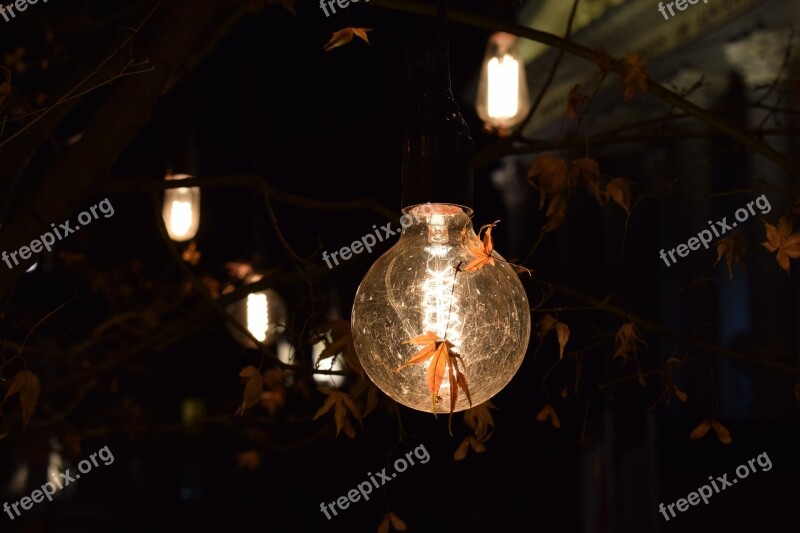 Light Bulb Autumn Leaves Night Light