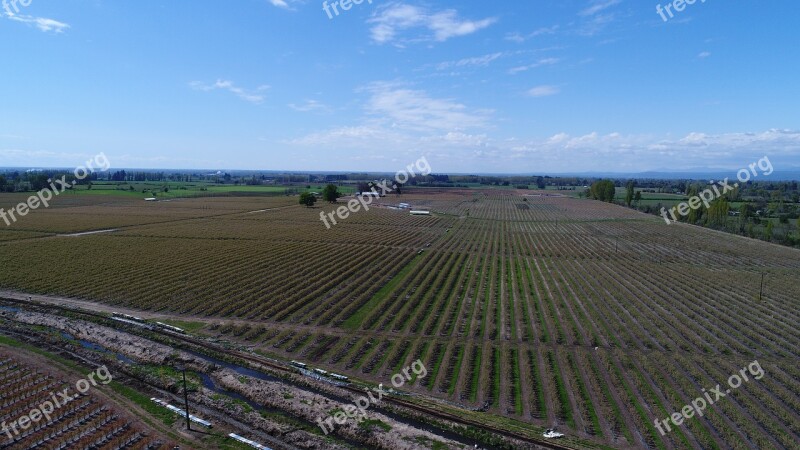 Agriculture Drone Fumigation Technology Cultivation