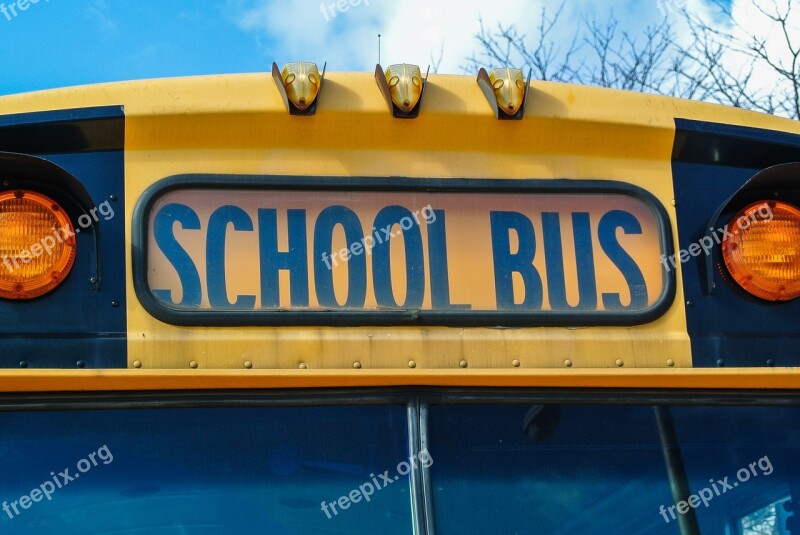 Bus Usa School Colors Vehicle