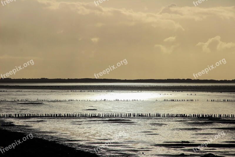 Wadden Sea Denmark Water Mood Evening