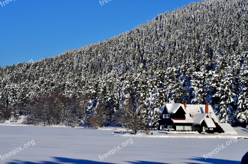 Winter Snow Snow Landscape Tree Abant