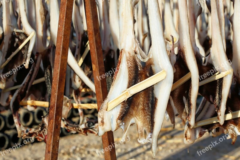 Fish Dried Fish Food Cod Portugal