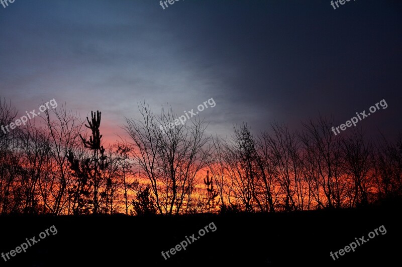 Armagh Sunrise Ireland Trees Sky