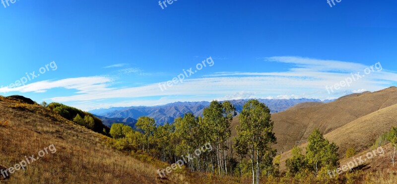 Autumn Season Nature Beautiful Outdoor