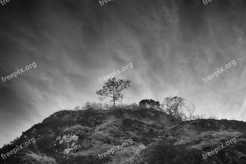 Surrealism Black And White Landscape White Black