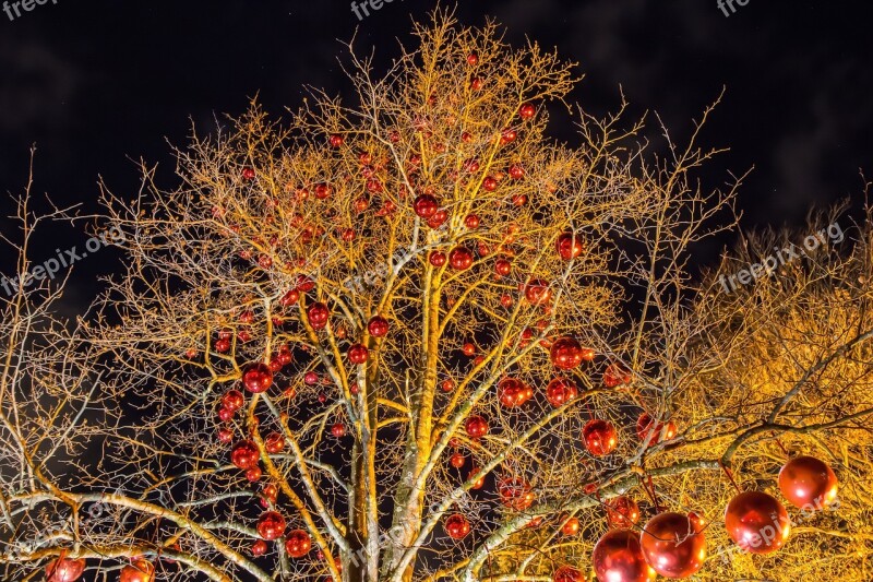 Christmas Images Christmas Ornament Christmas Time Christmas Decoration Christmas Balls