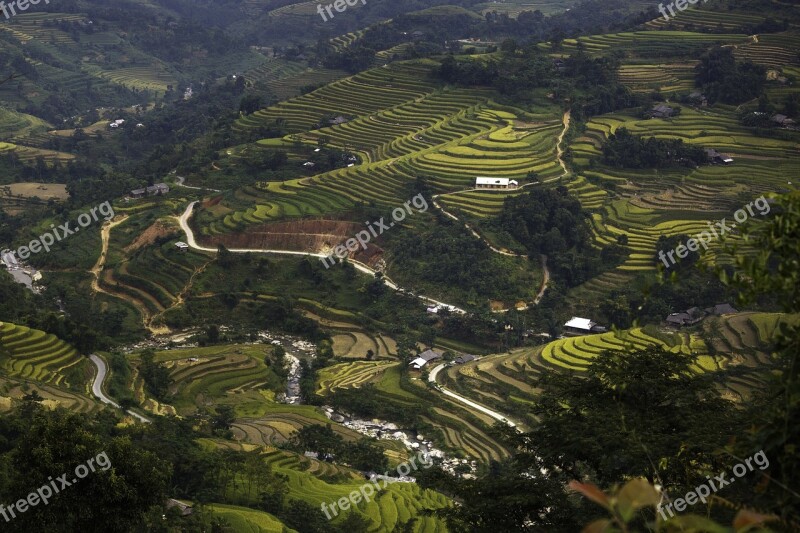 Blind Stretch Comb Lao Cai Yen Bai Vietnam Soil