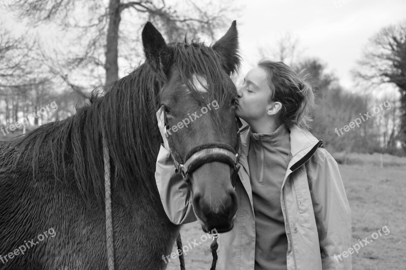 Kisses Kiss Young Girl Horse Complicity Domestic Animal