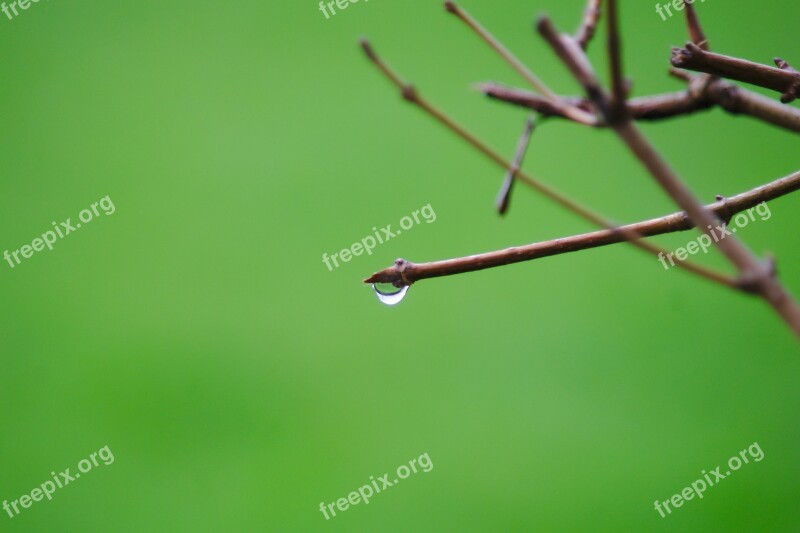 Drop Green Rain Raindrops Drop Of Water