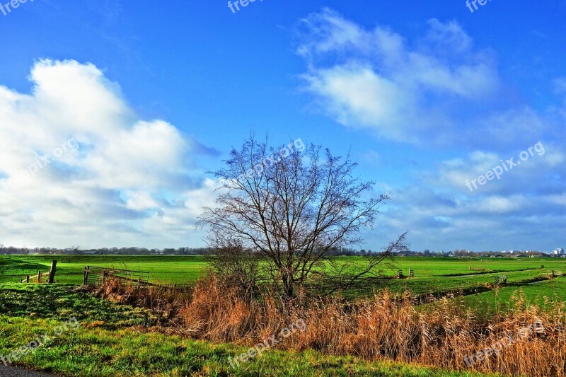 Tree Meadow Rural Country Farmland