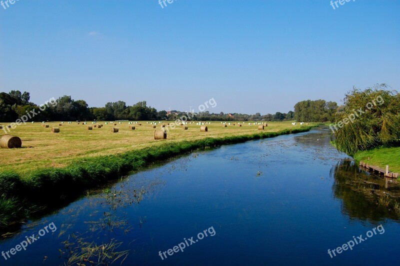 Tollense Altentreptow River Nature Water