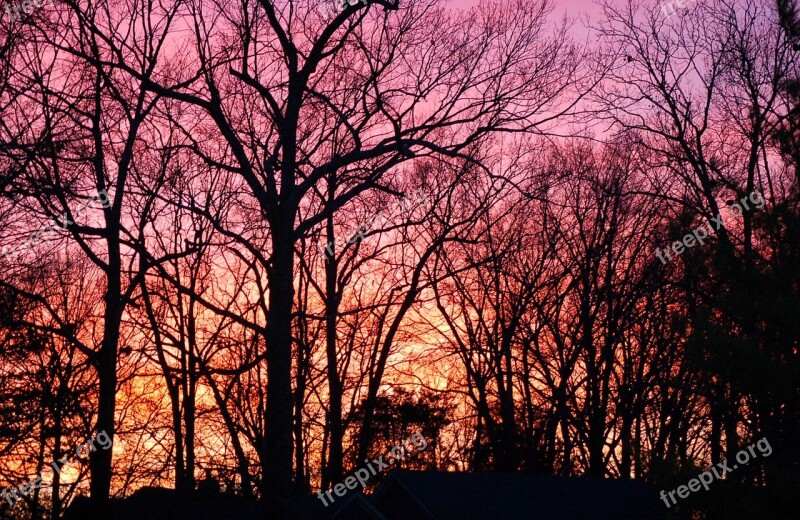 Sunset Golden Hour Sky Evening Colorful