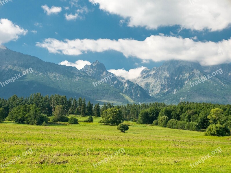 Nature Trees Forests Tatry Mountains