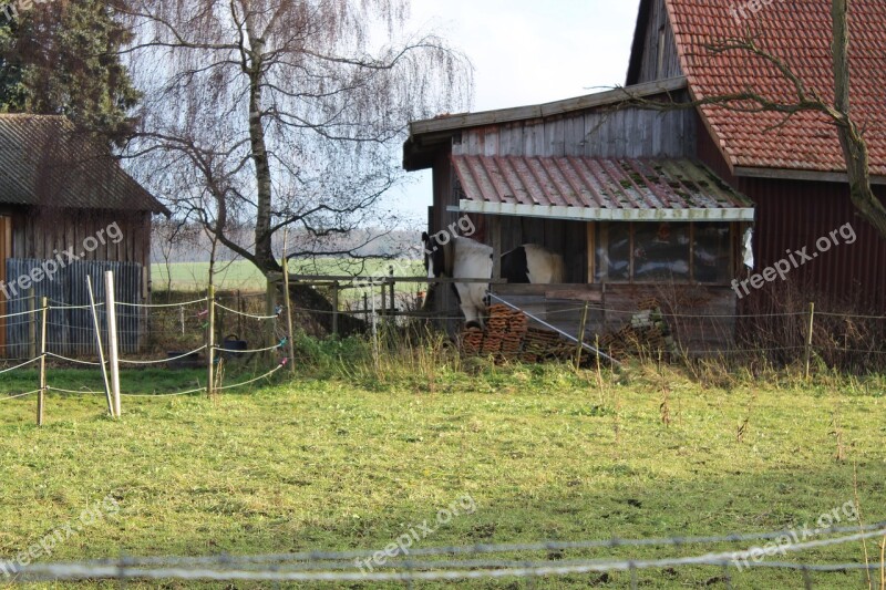 Horse Stall Horse Head Shelter Horse Stable