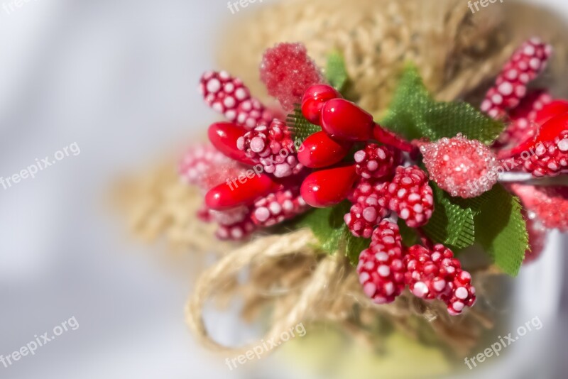 Flower Artifact Macro Gift Background