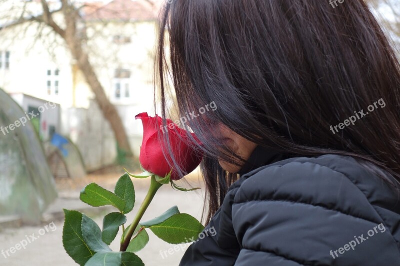 Girl With Red Rose Love Waiting Dreaming Romantic