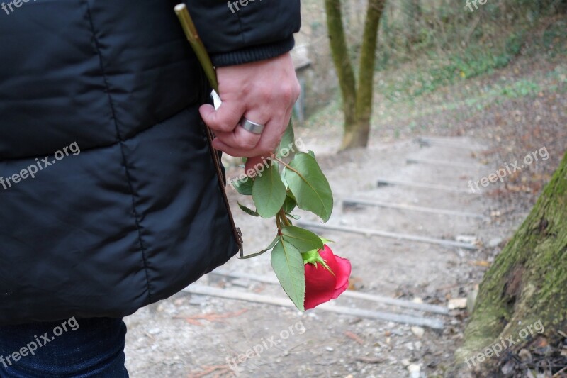 Girl With Red Rose Love Waiting Female Model Modelling