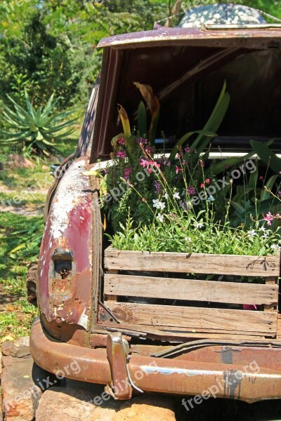 Plant Boxes In Boot Of Old Car Car Boot Boxes Plants