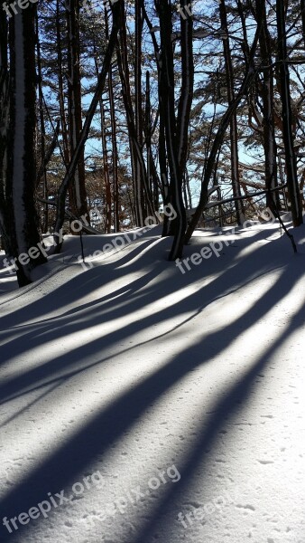 Snow Shadow Wood Halla Last