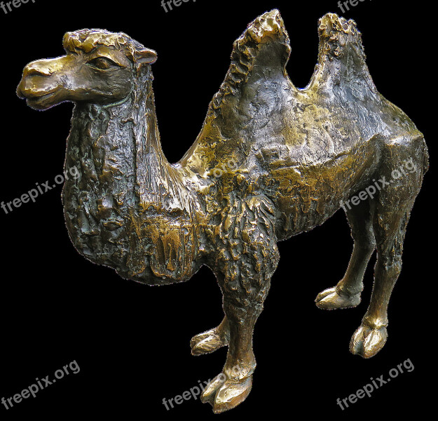 Camel Bronze Statue Animal Figure Metal Bronze