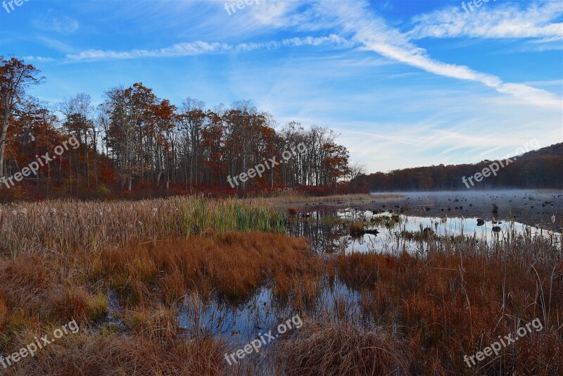 Lake Coast Water Landscape Nature