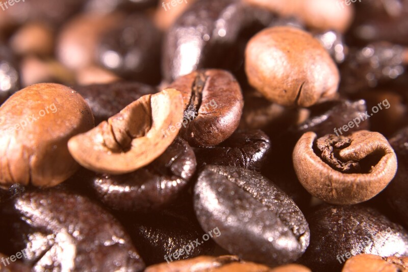 Coffee Beans Coffee Beans Roasting Macro