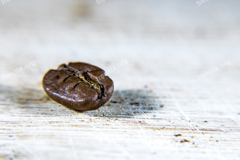 Bean Coffee Macro Close Up Roasting