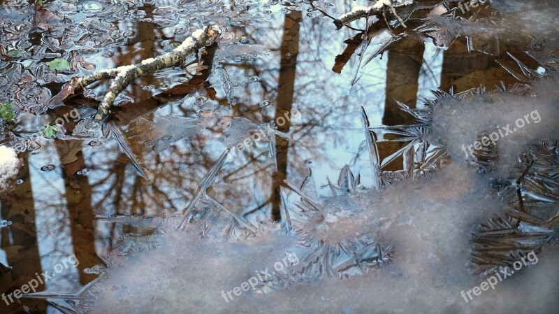 Early Winter Crust Forest Swamp Leafs