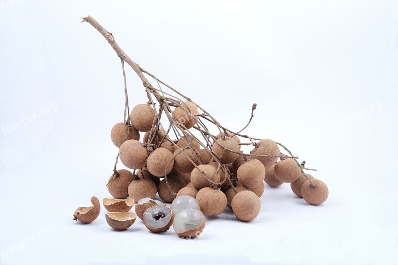 Longan Fruit Thai Asian Group