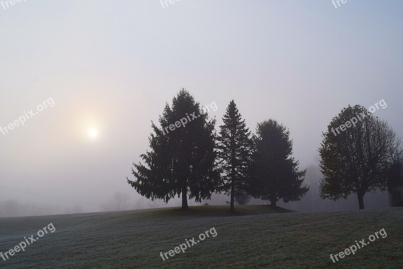 Fog Trees Sun Morning Landscape